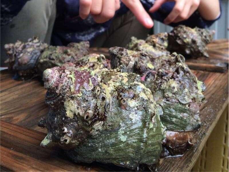 מלון טובה Kaigetsu מראה חיצוני תמונה
